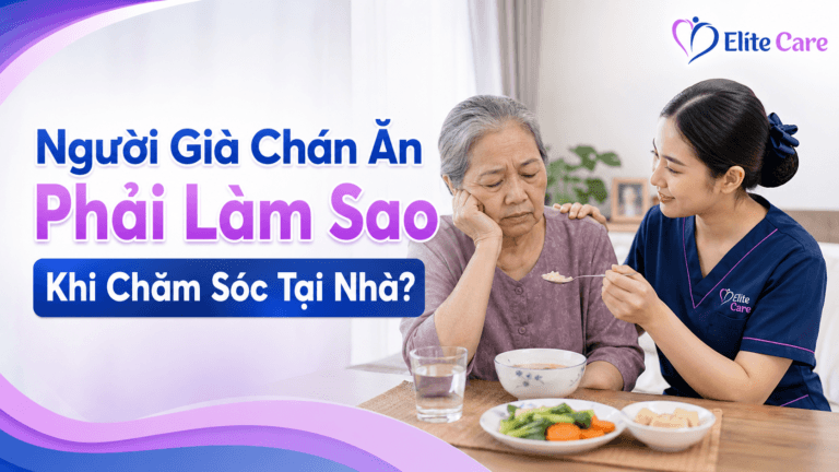 người già chán ăn phải làm sao